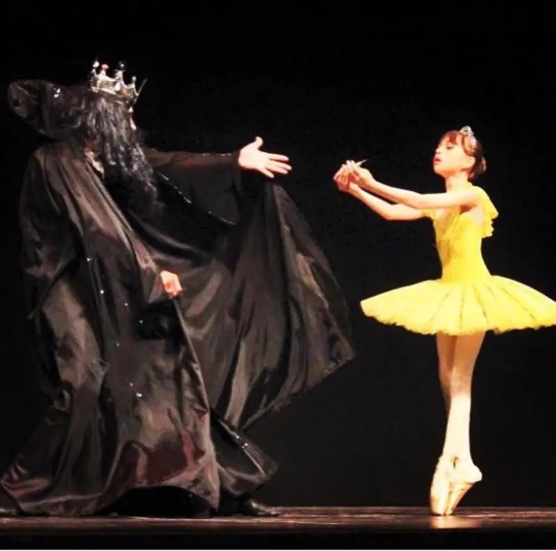 Ученики Farber Ballet на занятиях и выступлениях, Брайтон-Бич, Бруклин, фото 5
