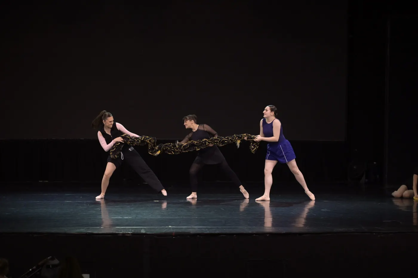 Ученики Farber Ballet на занятиях и выступлениях, Брайтон-Бич, Бруклин, фото 63